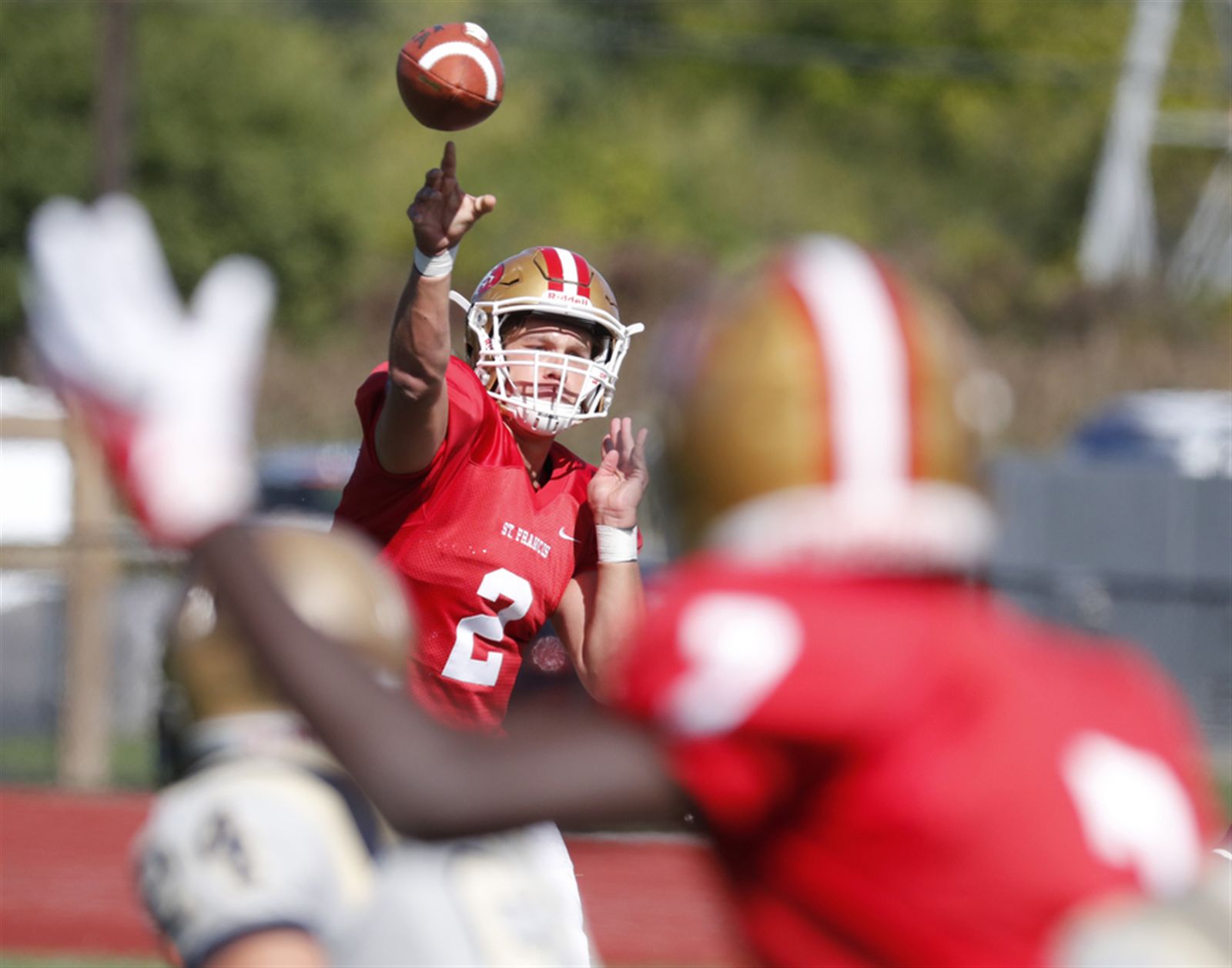Canisius 55, St. Francis 13